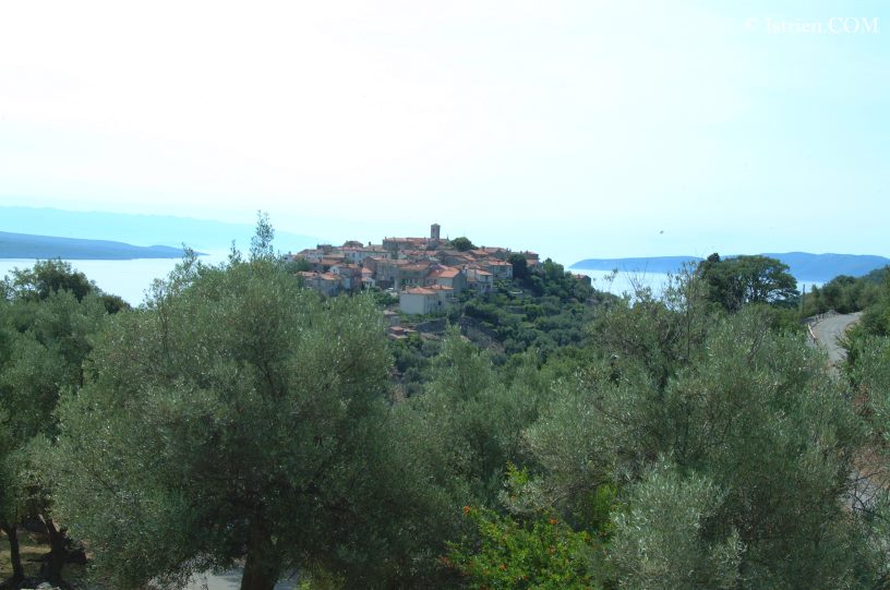 Olivenbäume und Ortsfoto von Beli - Cres - Kroatien