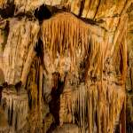Stalaktiten - Höhle von Postojna - Slovenien - Istrien