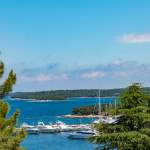 Blick durch Bäume zum Yachthafen in Vrsar in Istrien